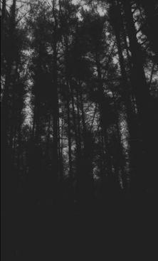 Память Сохрани - Часть себя (Demo)