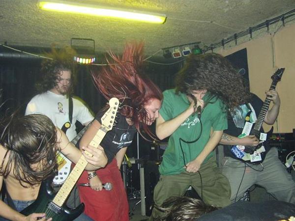 Mincing Fury And Guttural Clamour Of Queer Decay - Discography (2002-2017)