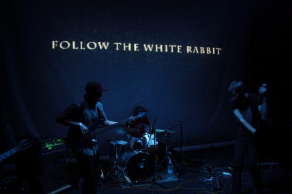 Follow The White Rabbit - Discography (2008 - 2012)