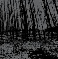 Vredgad - Discography (2005 -2009)