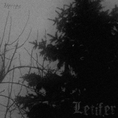Letifer - Vertes (Demo)