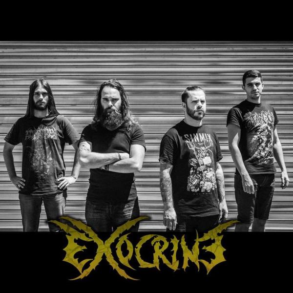 Exocrine - Discography (2015 - 2024)