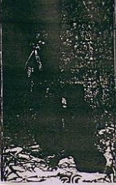 Capri Sancti - Discography (1994 - 1996)