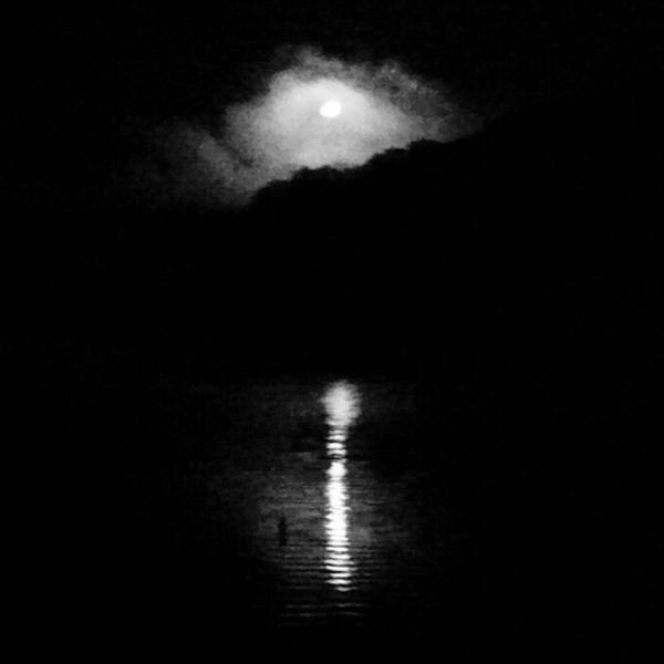 Windark - Discography (2017 - 2018)