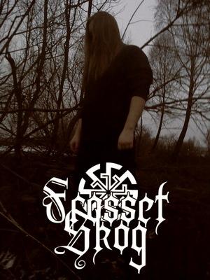 Frosset Skog - Discography (2011 - 2014)