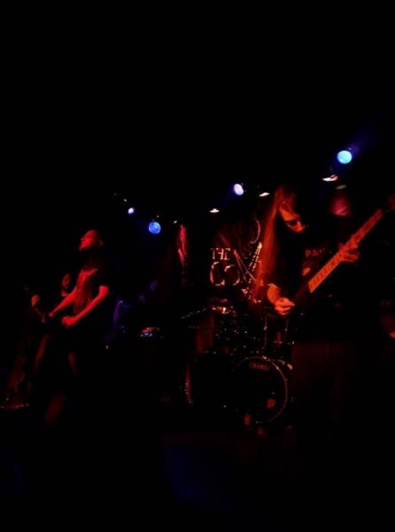 Zealotry - Discography (2013 - 2020)