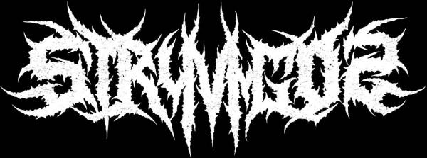 Stryvigor - Discography (2013 - 2018)