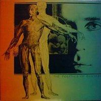 Magic Mushroom Band - The Politics of Ecstasy