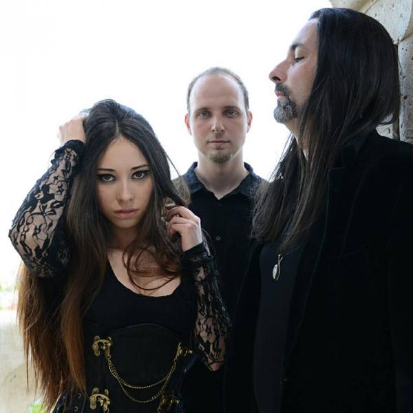 Half Past Dark - Dimensions