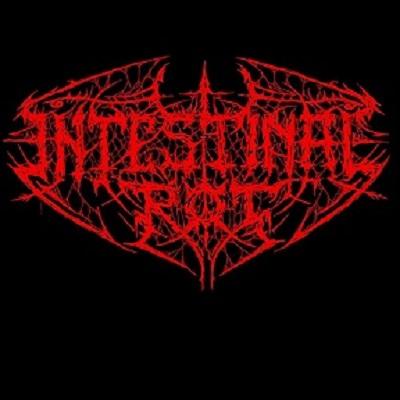 Intestinal Rot - Discography (2010 - 2015)