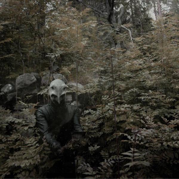 Terra Tenebrosa - Discography (2011-2016)