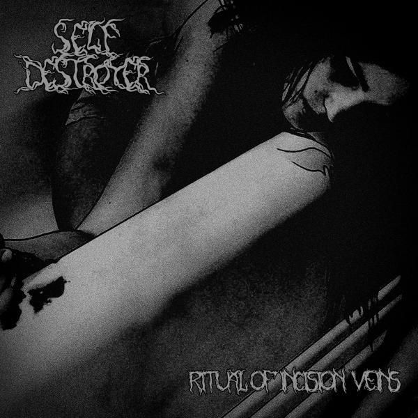 SelfDestroyer - Discography (2018)