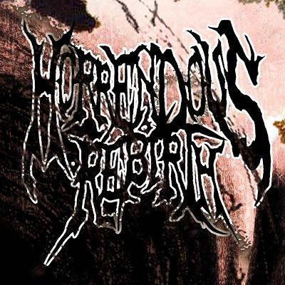 Horrendous Rebirth - Discography (2011 - 2015)