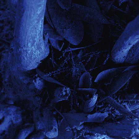 Deathlike Silence - Discography