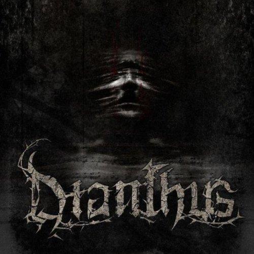 Dianthus - Dianthus (Demo)