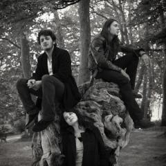 Les Discrets  - Discography (2006 - 2012)