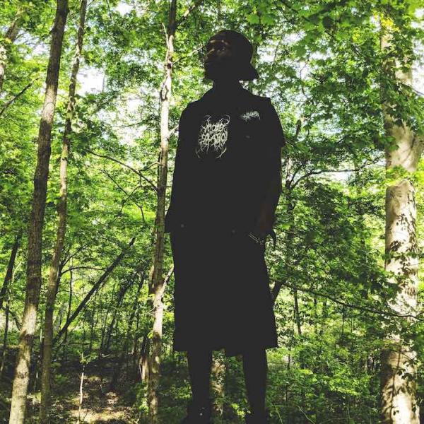 Nelecc - Discography (2017 - 2018)