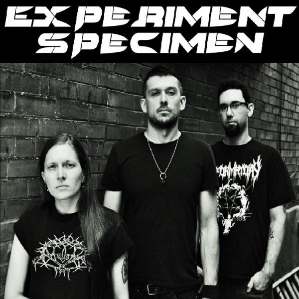Experiment Specimen - Discography (2017-2018)