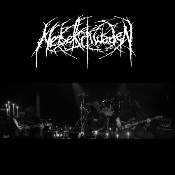 Nebelschwaden - Discography (2012 - 2017)