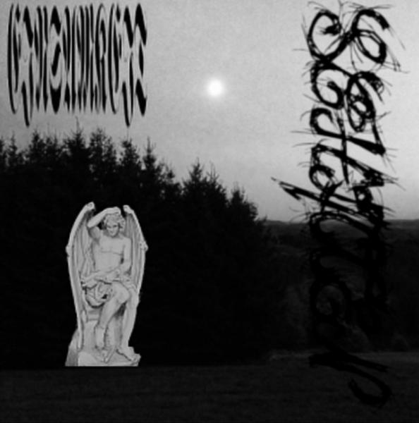 Schatten - Discography (2018 - 2019)