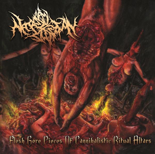 Necropsy Defecation - Flesh Gore Pieces of Cannibalistic Ritual Altars