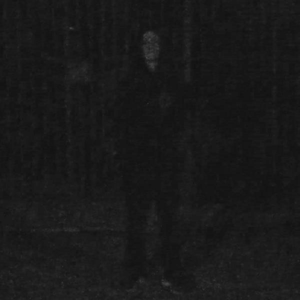 Cult Of Flesh - Discography (2018-2019)