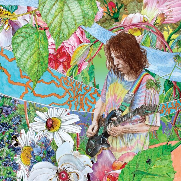 Ed Wynne - (Ozric Tentacles) - Shimmer Into Nature