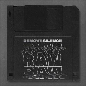 Remove Silence - Raw