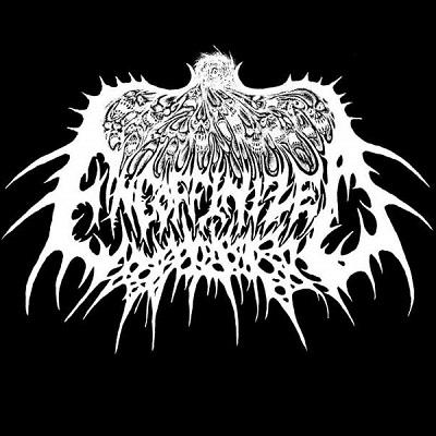Encoffinized - Discography (2017 - 2019)