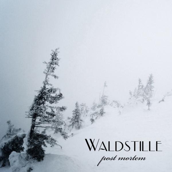 Waldstille - Discography (2013 - 2019)