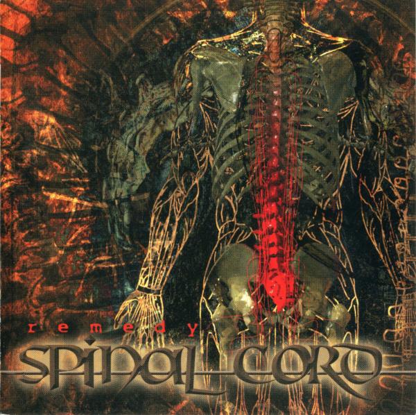 Spinal Cord - Remedy