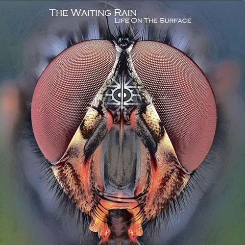The Waiting Rain - Life on the Surface