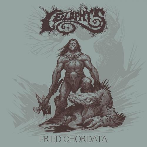Celophys - Fried Chordata