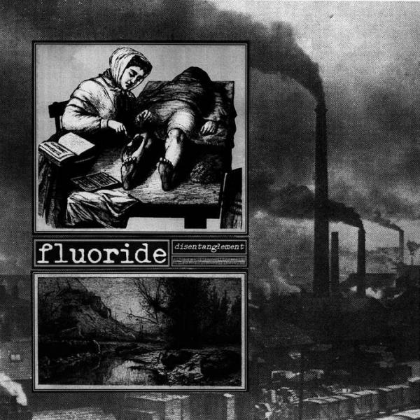 Fluoride - Disentanglement