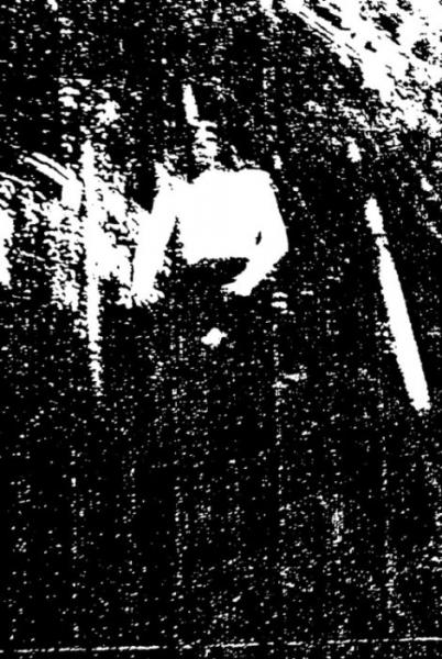 Dohlensturm - Discography (2000 - 2001)