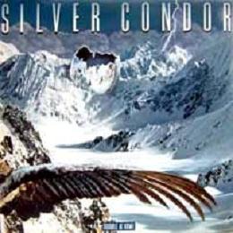 Silver Condor - Trouble At Home