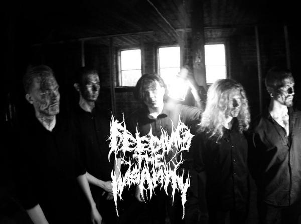 Feeding The Insanity - Scarless (EP)