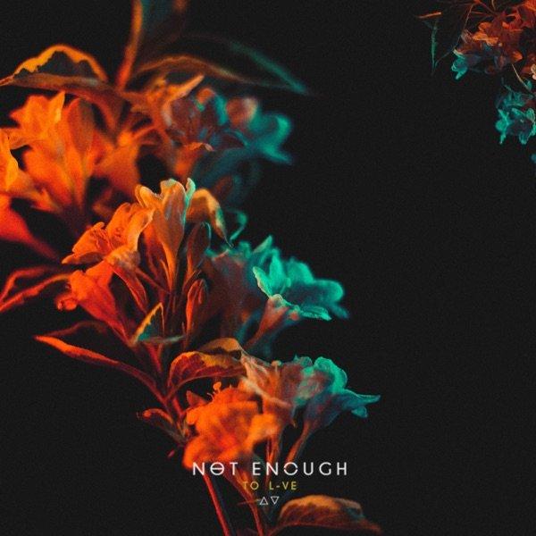 Not Enough - To-L-ve (EP)