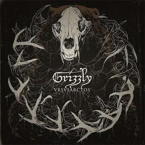 Grizzly - Ursus Arctos