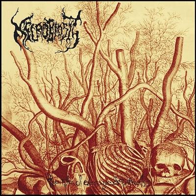 Necrobiosis - The Pile of Decayed Entrails (Compilation)
