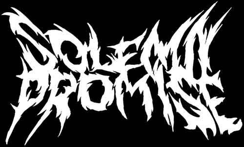 Solemn Promise - Discography (2013 - 2014)