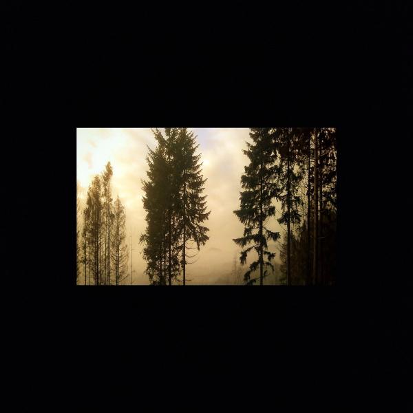 Leif - Discography (2019 - 2021)