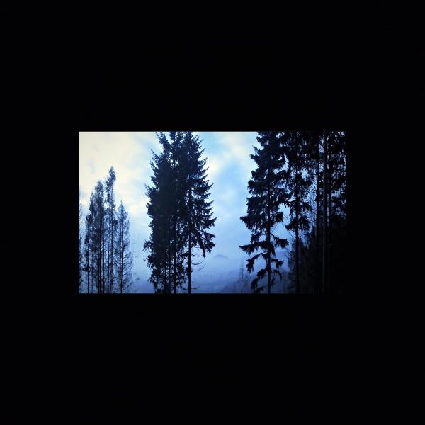 Leif - Discography (2019 - 2021)