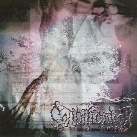 Solidification - Discography (2003 - 2005)