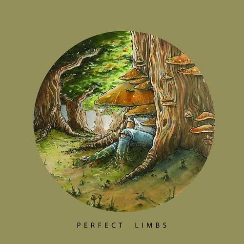 Perfect Limbs - Discography (2015 - 2019)