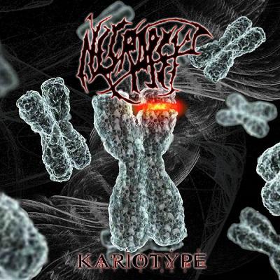 Necropsy - (ex-Meconium) - Discography (2008 - 2010)