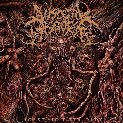 Visceral Disgorge - Discography (2011 - 2019)