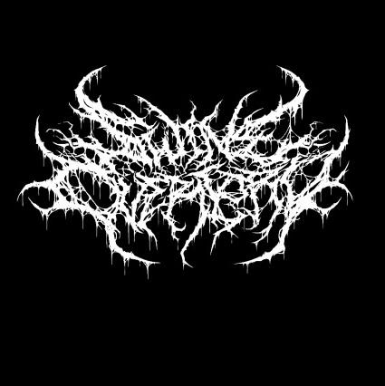 Swine Overlord - Discography (2013 - 2016)