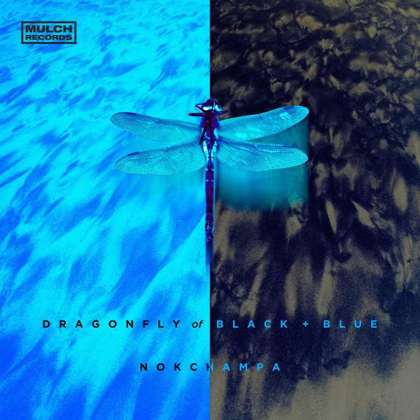 Nokchampa - Dragonfly Of Black And Blue