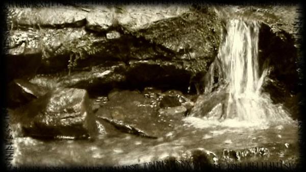 Kroda - Ghosts of Birds (DVD)